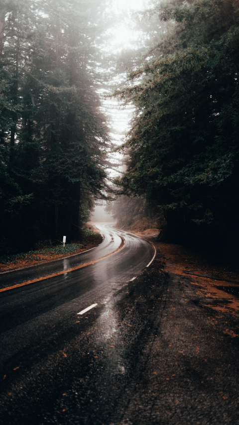 Highway turn, road, rainy, water on road, 480x854 wallpaper
