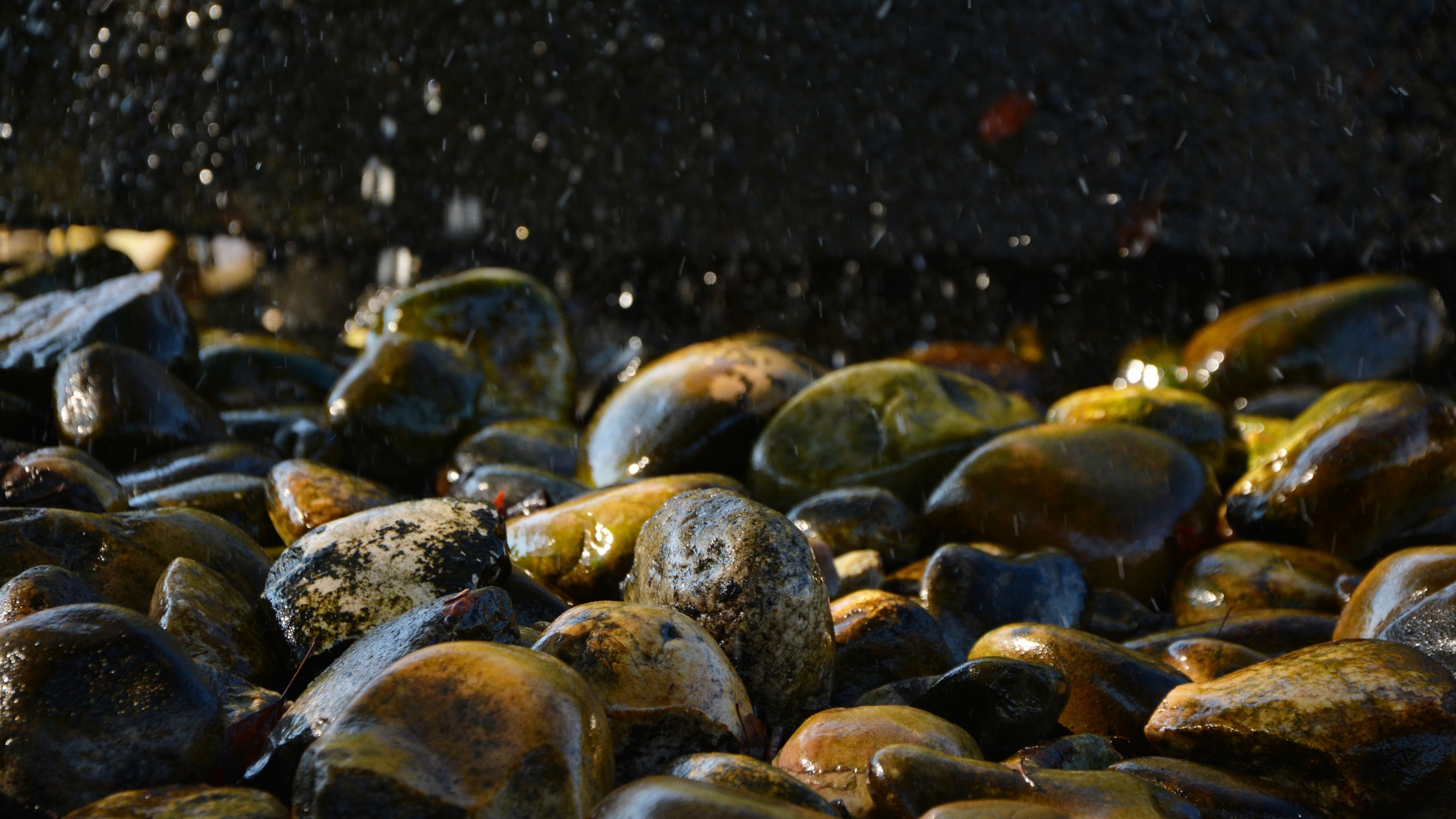 Wet stone. Мокрая галька. Мокрый камень. Море камни. Морское дно камни.
