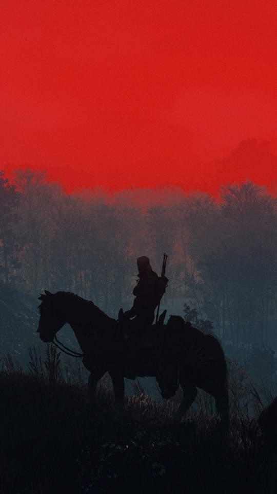 The Witcher 3, Geralt, sunset, silhouette, 540x960 wallpaper