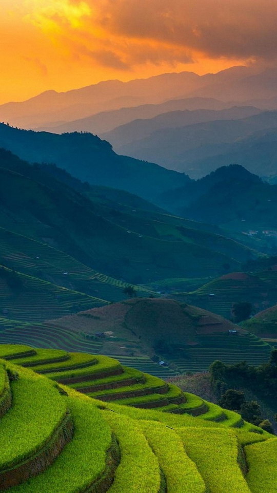 Rice farms, landscape, horizon, mountains, Philippines, 540x960 wallpaper