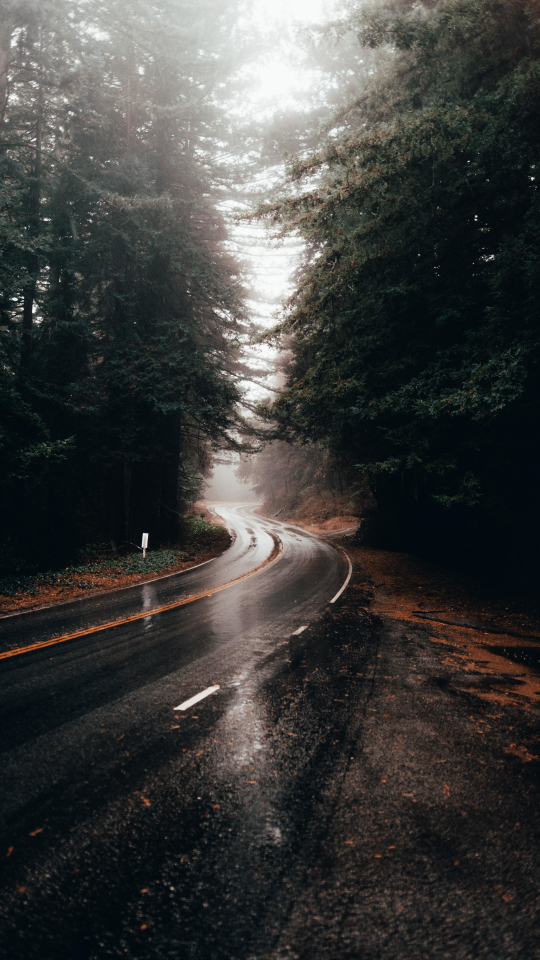 Highway turn, road, rainy, water on road, 540x960 wallpaper