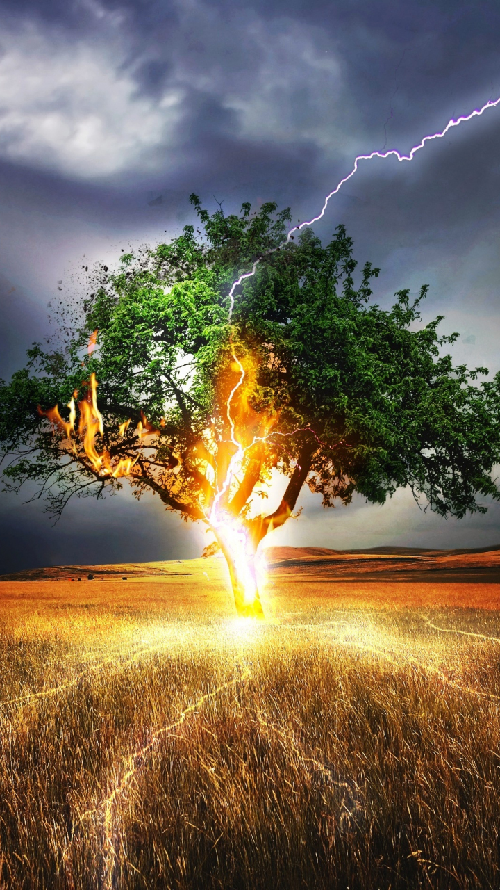 Download 720x1280 wallpaper lightning, flash, tree, landscape, storm