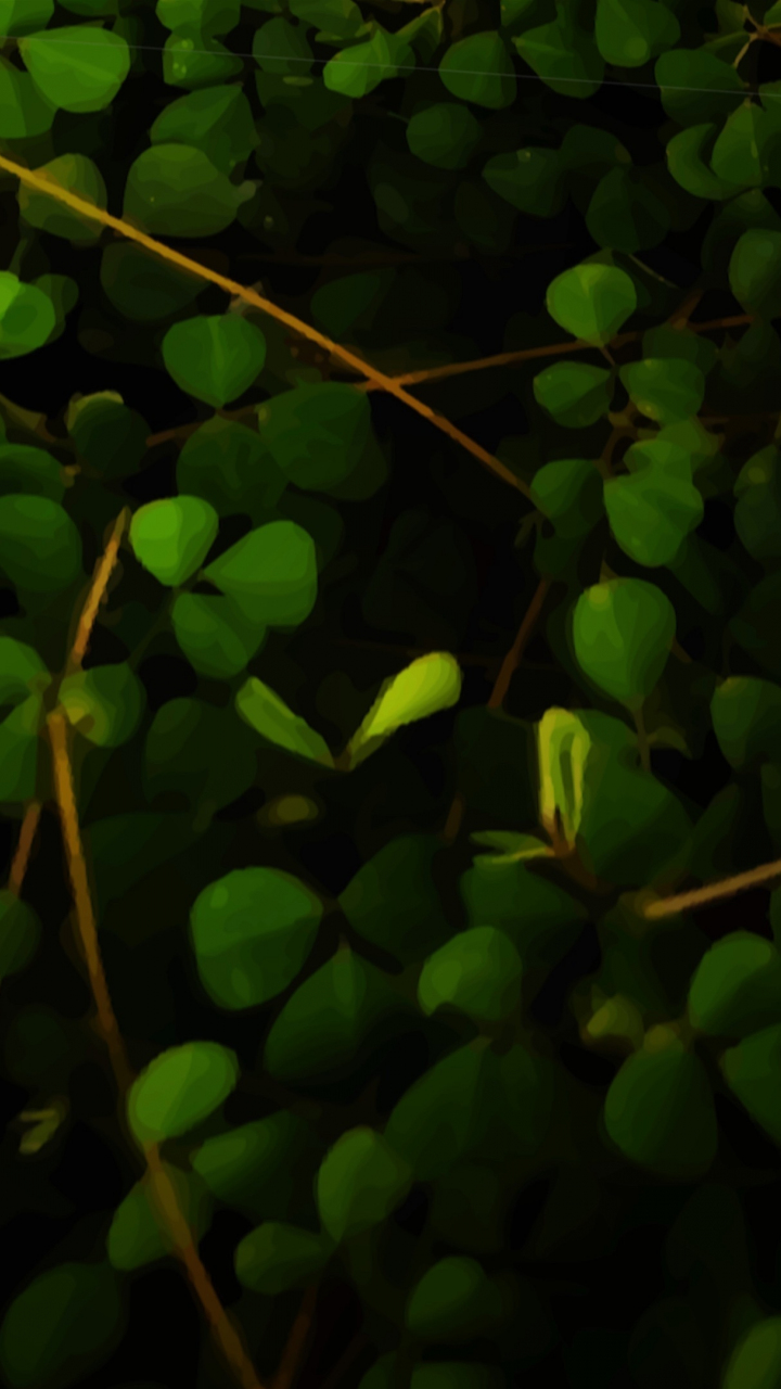 Download wallpaper 720x1280 plant, clover leaf, blur, portrait, samsung ...