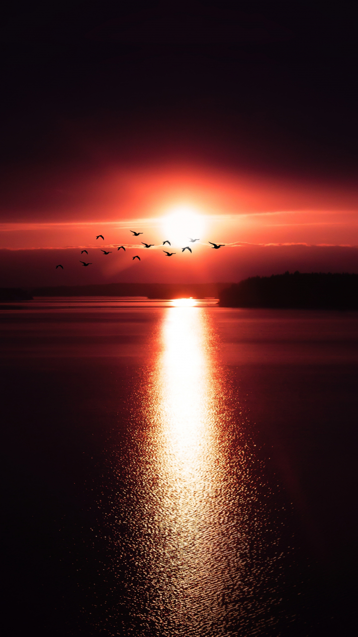 Download wallpaper 720x1280 sunset, reflections, birds, shine, samsung ...