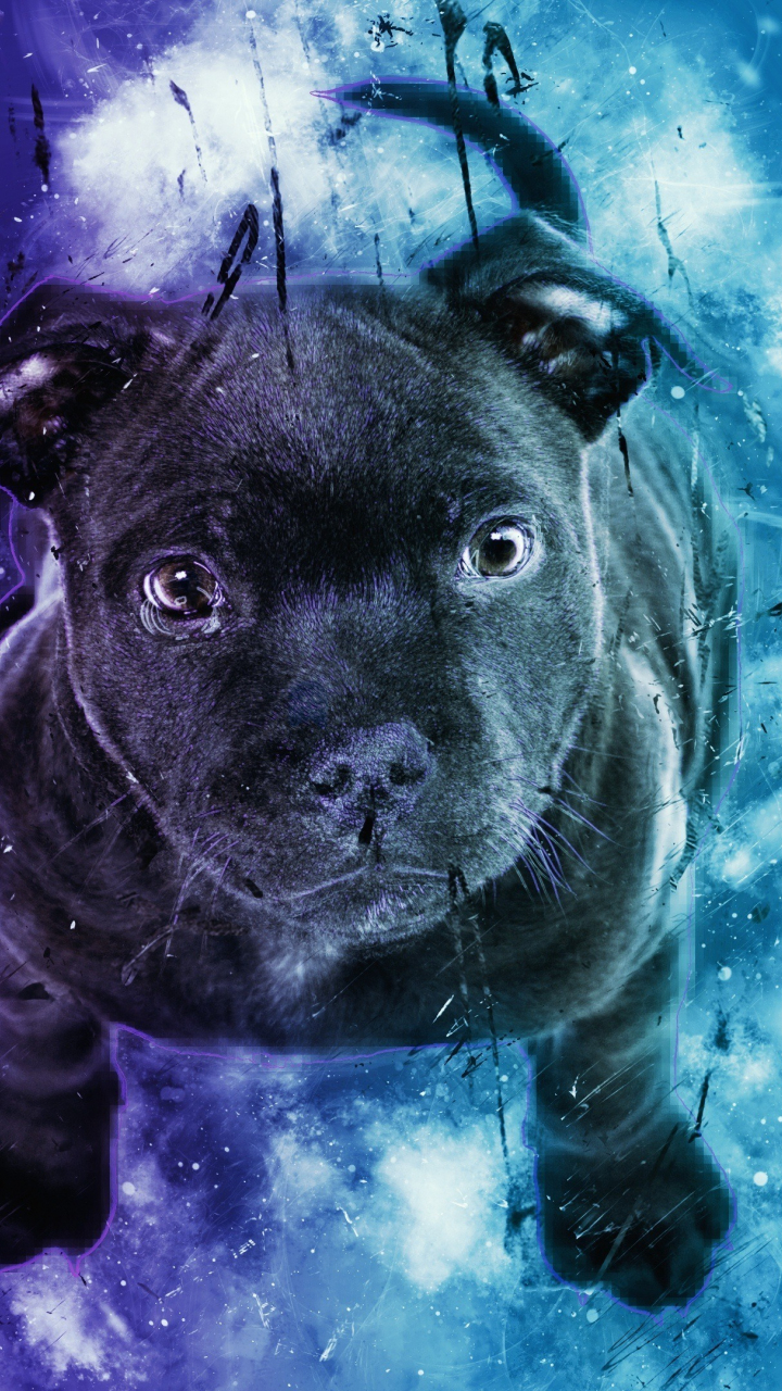 Download 720x1280 wallpaper  black puppy  dog  cute  
