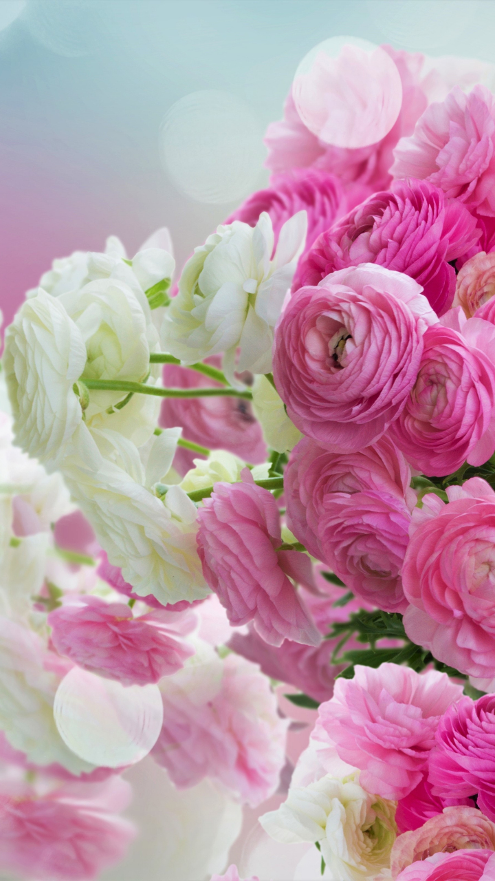 Download 720x1280 wallpaper white and pink flowers, bouquet, samsung ...