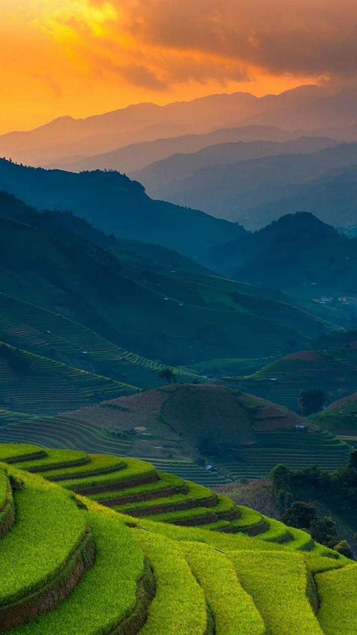 Rice farms, landscape, horizon, mountains, Philippines, 720x1280 wallpaper