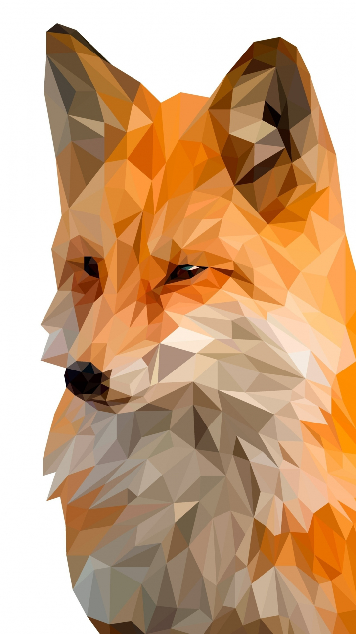 Fox, muzzle, digital art, low poly, 720x1280 wallpaper