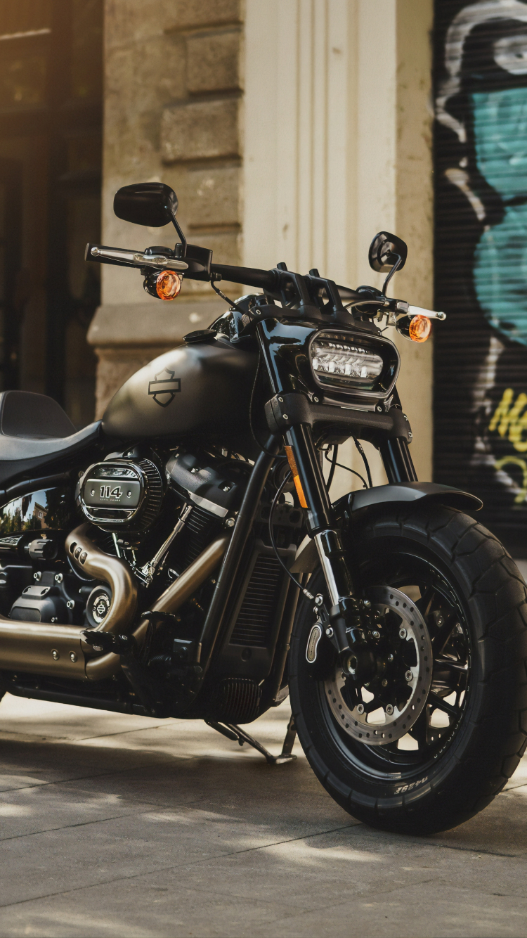 2019 Harley-Davidson, motorcycle, 750x1334 wallpaper