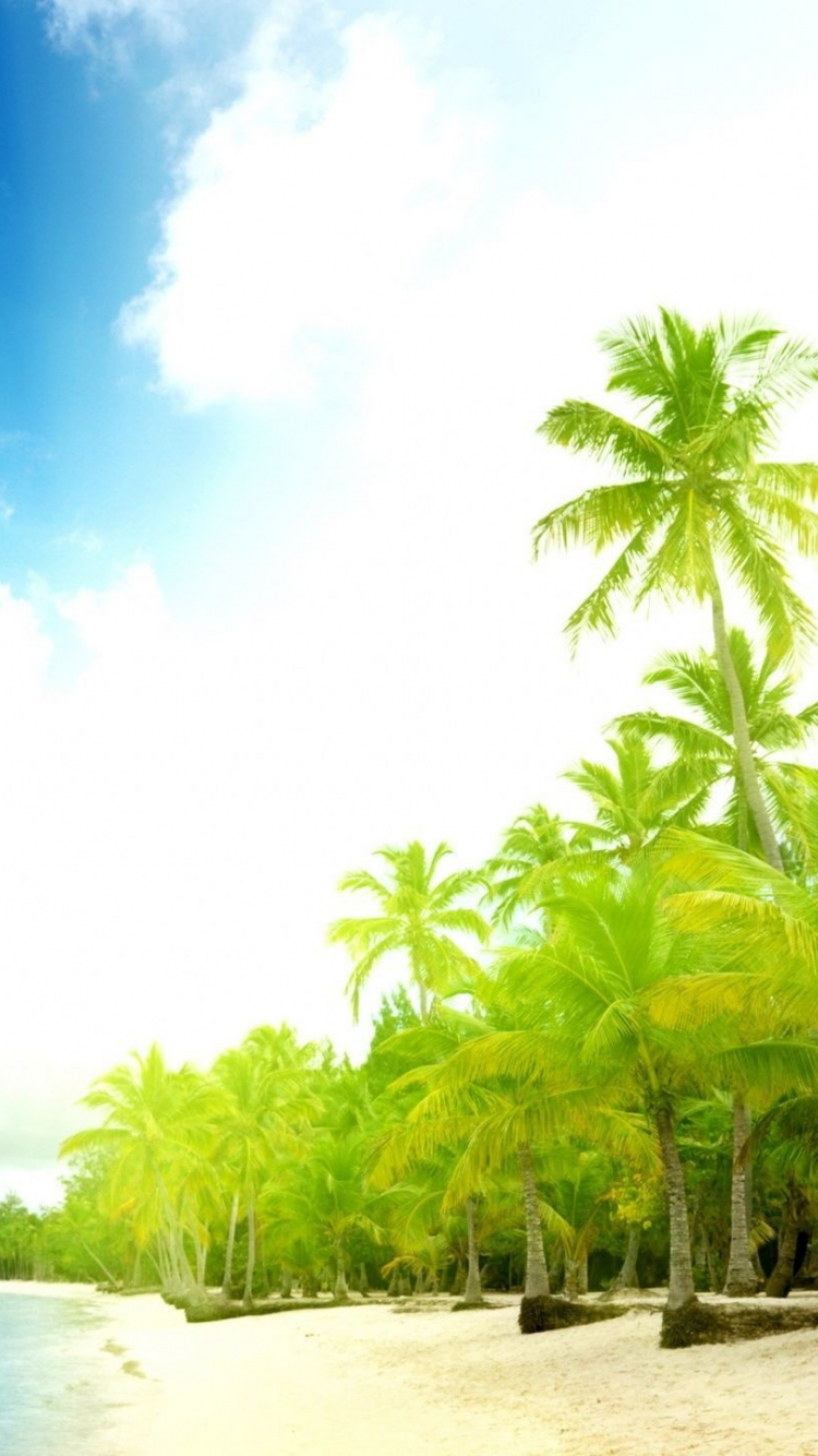 Download 750x1334 Wallpaper Beach Summer Tropical Sea Palm