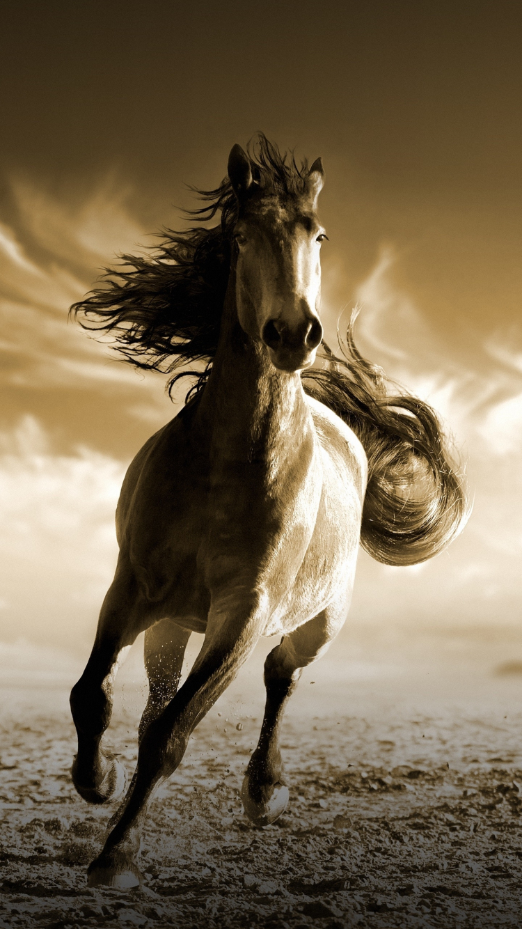 Download wallpaper 750x1334 running, horse, animal, iphone 7, iphone 8,  750x1334 hd background, 5178