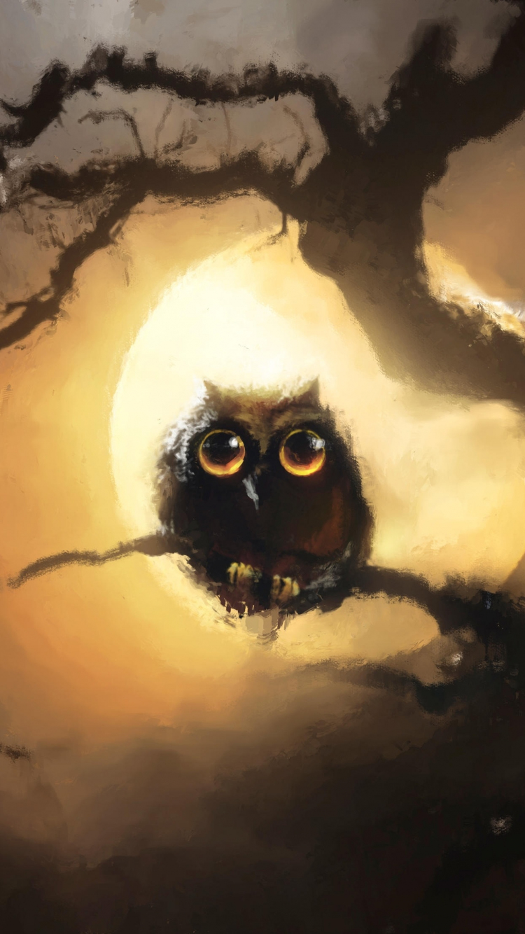 Owl Wallpapers - Top 35 Best Owl Backgrounds Download