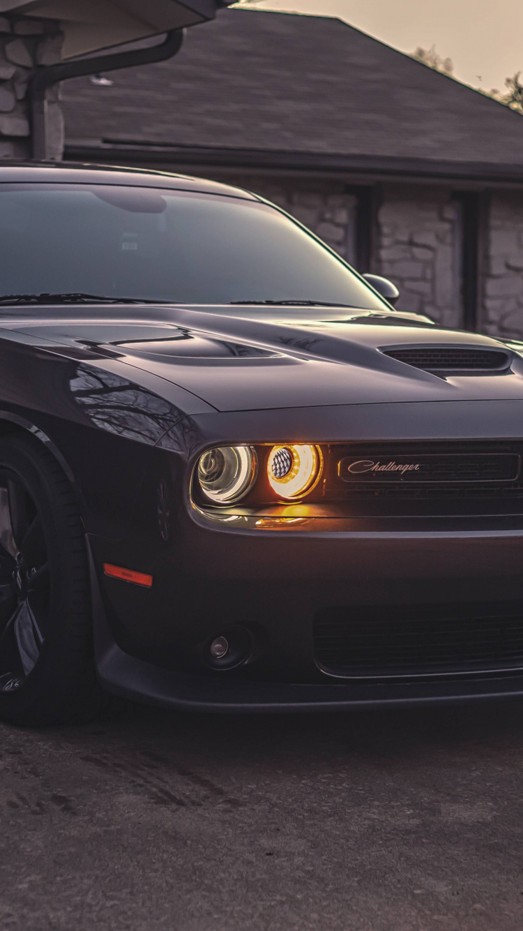 Red dodge challenger Wallpapers Download  MobCup