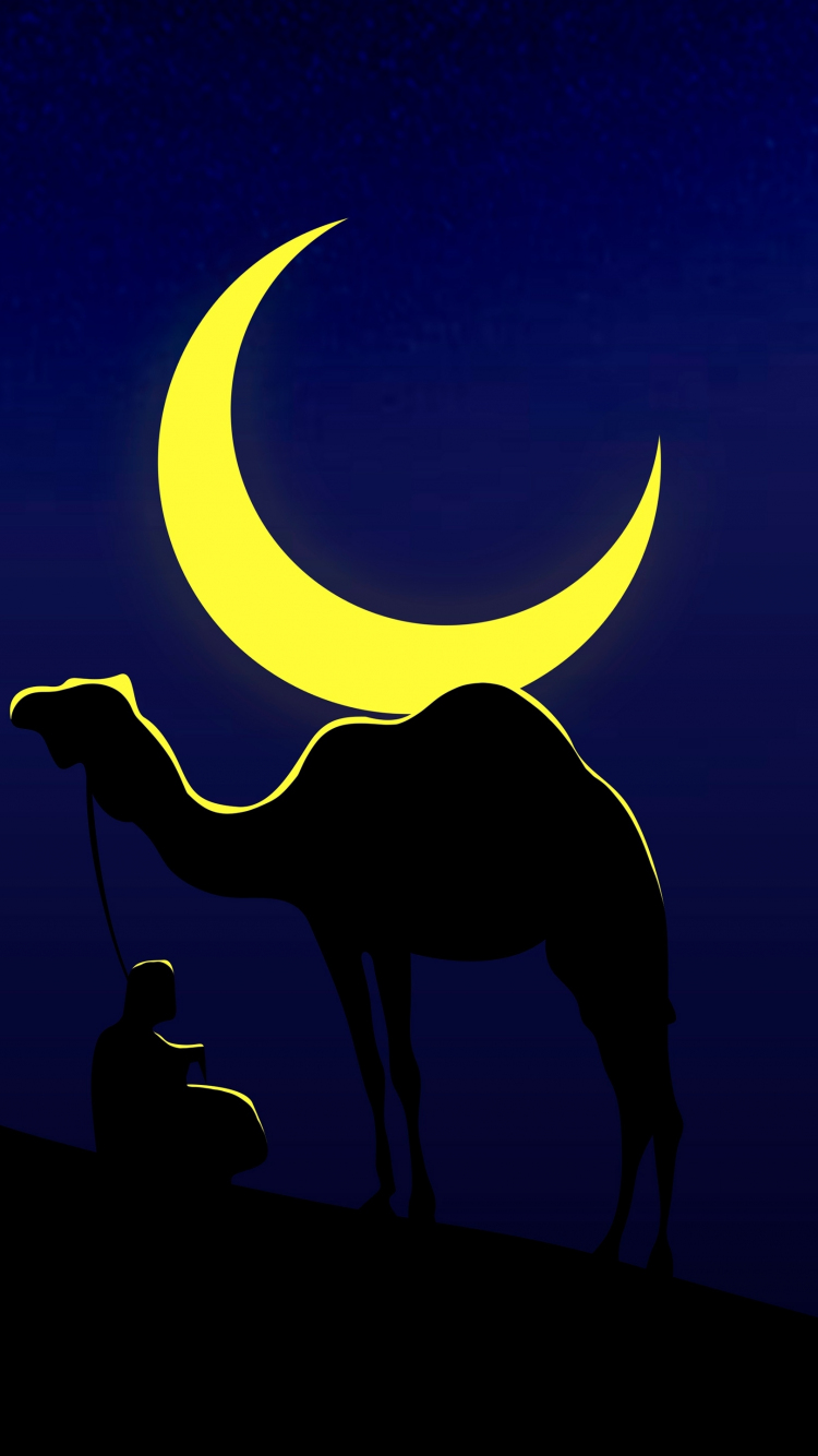 Camel and his master, moon, minimal, 750x1334 wallpaper