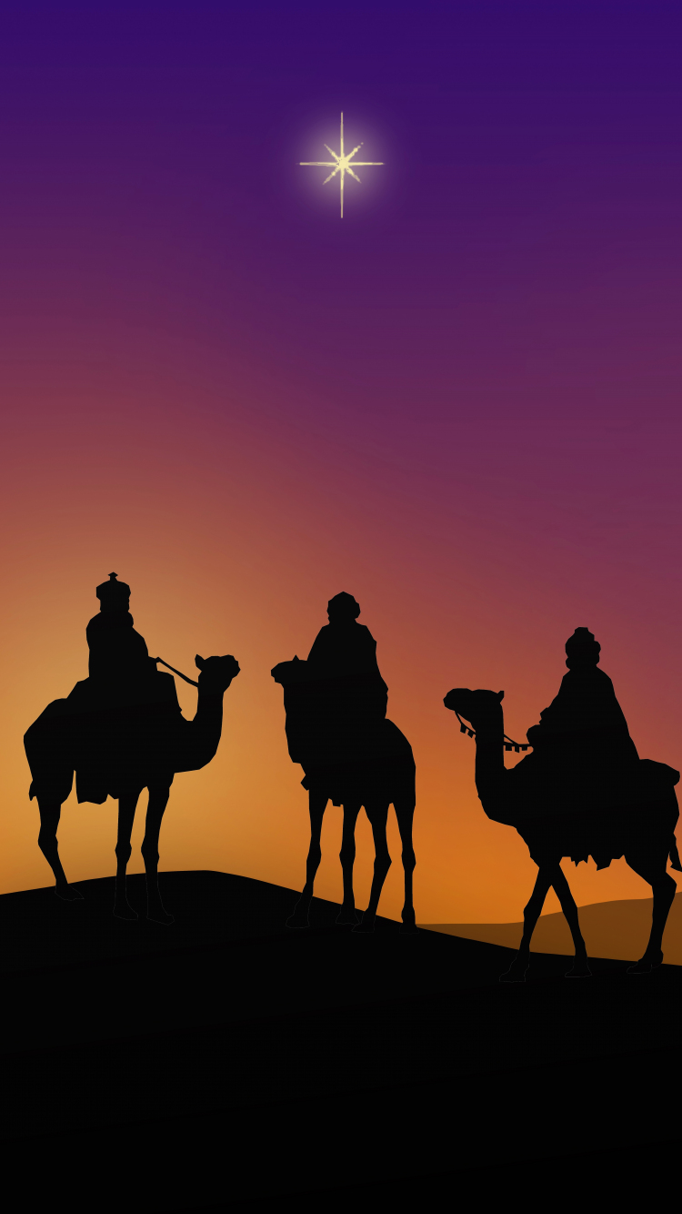 Epiphany, camel, silhouette, minimal, 750x1334 wallpaper
