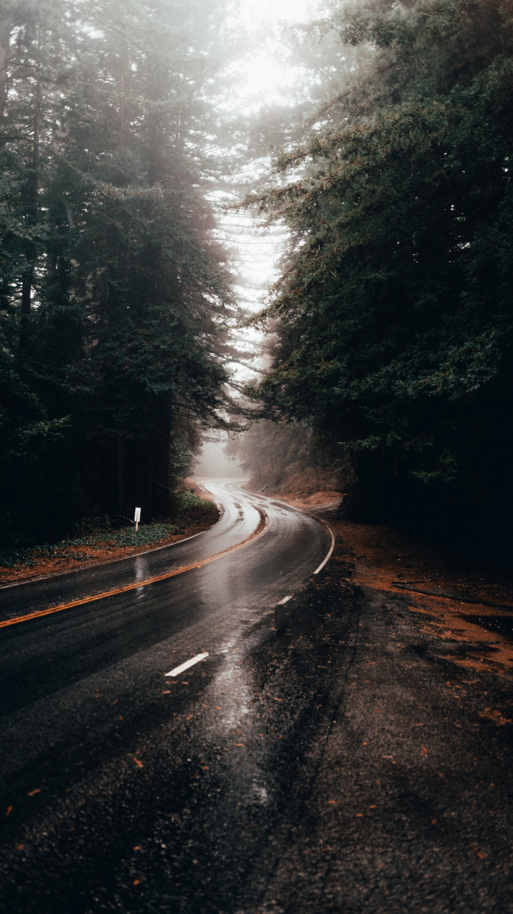 Highway turn, road, rainy, water on road, 750x1334 wallpaper