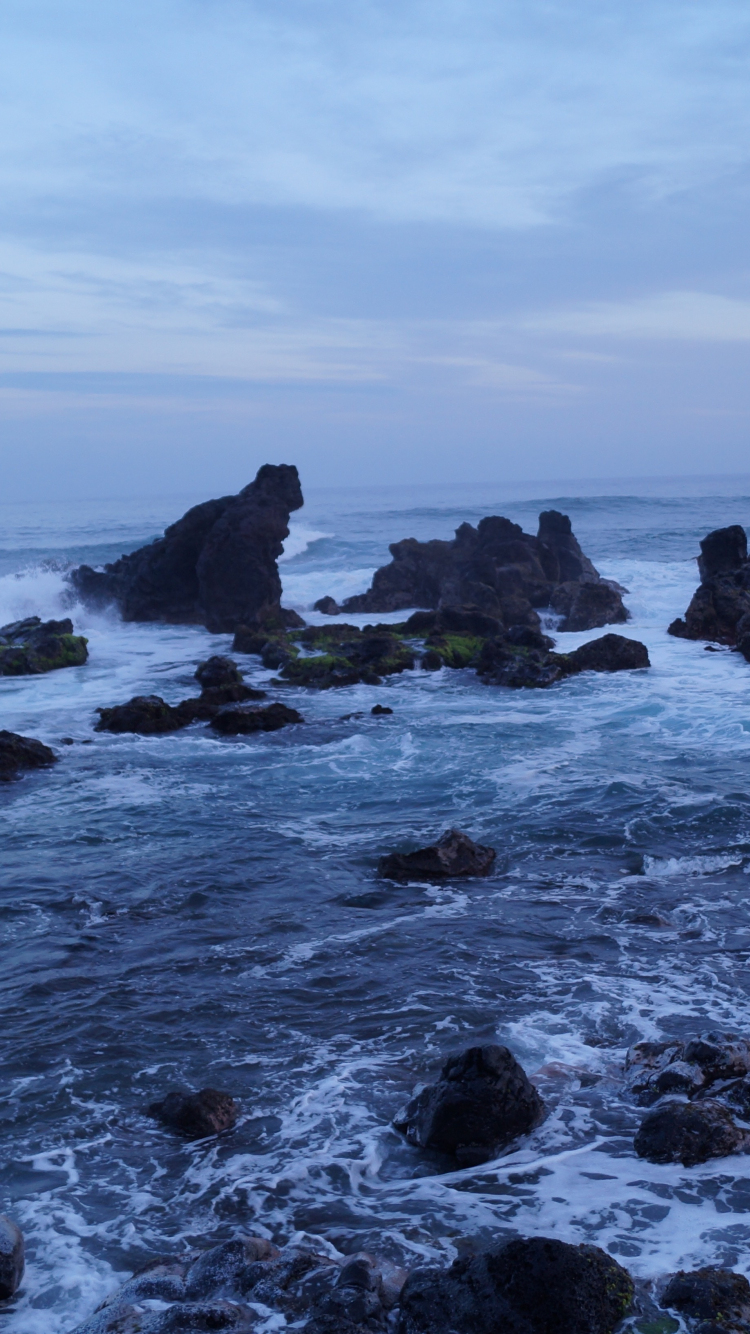 Download 750x1334 Wallpaper Rocks Sea Shore Coast Hawaii Iphone 7 Iphone 8 750x1334 Hd Image Background 4770