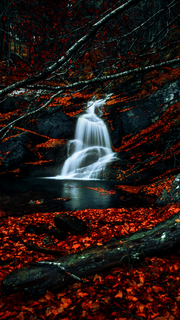 Download wallpaper 750x1334 autumn, red leaves, forest, waterfall, river,  water stream, iphone 7, iphone 8, 750x1334 hd background, 27495