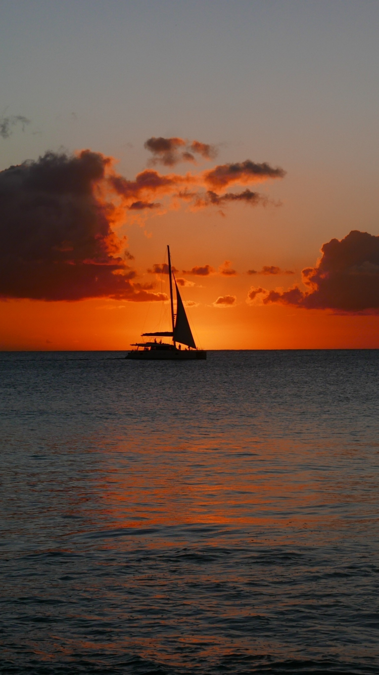 Picture Barbados Caribbean Nature Palms Tropics sunrise and sunset