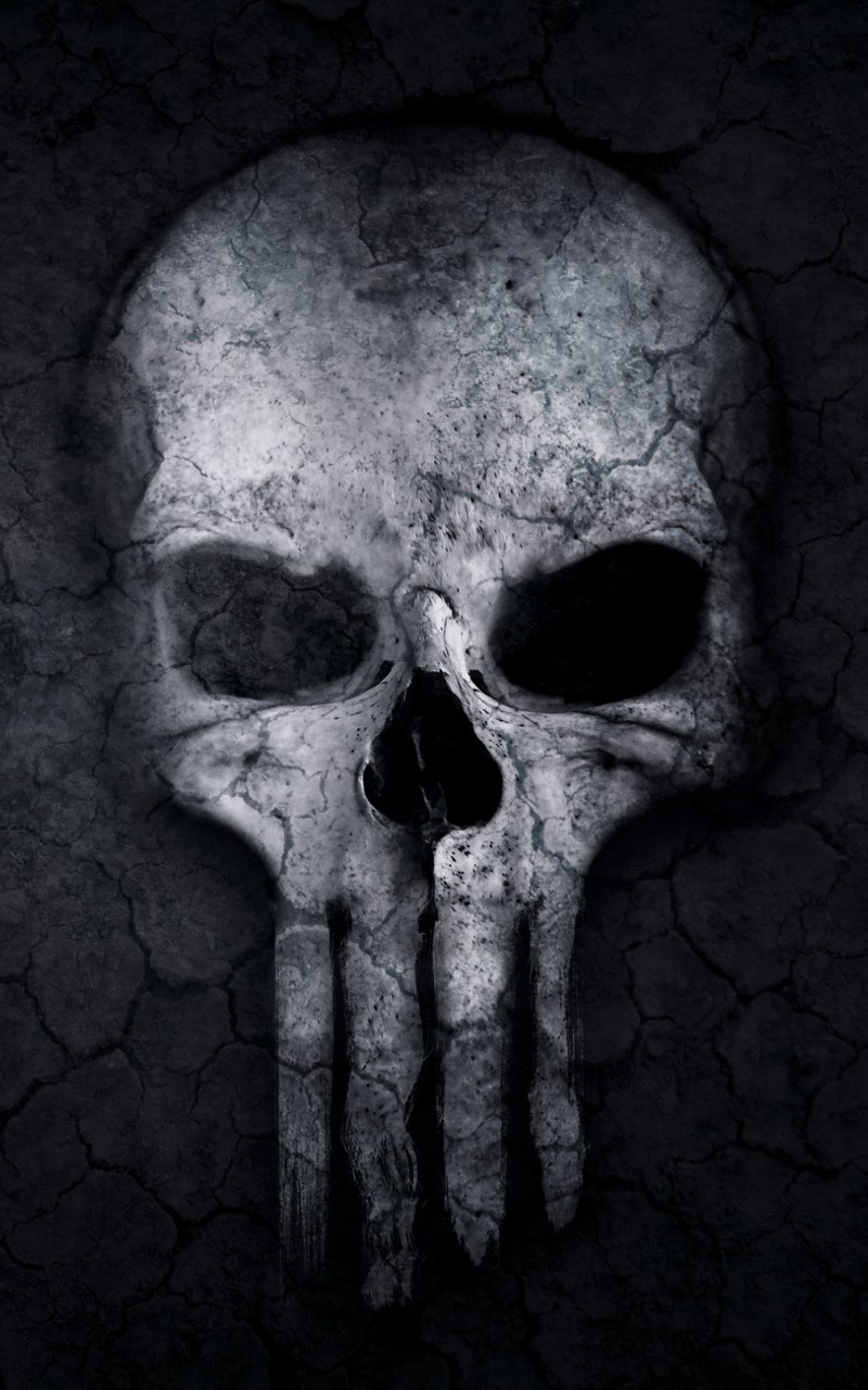 the punisher wallpaper by BigDaddyJ1387FLA - Download on ZEDGE™