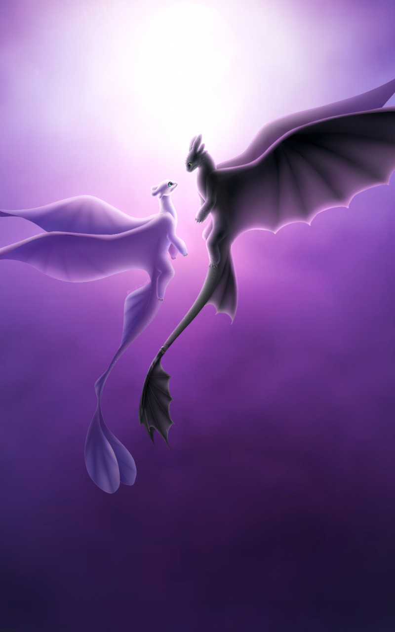 Download wallpaper 800x1280 toothless and light fury, romantic, love,  dragons, samsung galaxy note gt-n7000, meizu mx 2, 800x1280 hd background