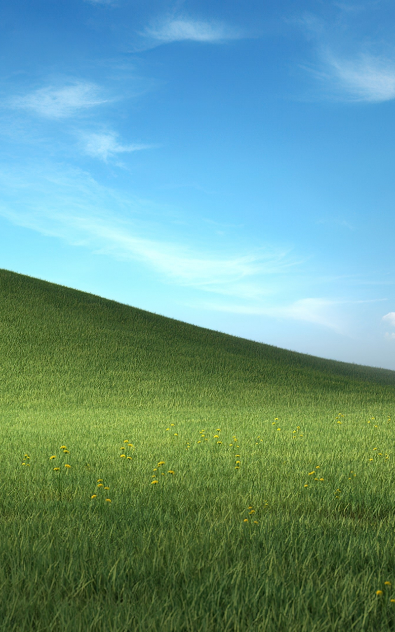 Download wallpaper 800x1280 meadow bliss, green grass, landscape, microsoft windows  xp stock, samsung galaxy note gt-n7000, meizu mx 2, 800x1280 hd background