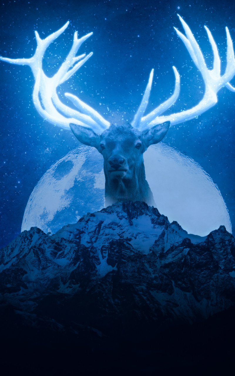 Deer horns, glowing horns, art, 800x1280 wallpaper