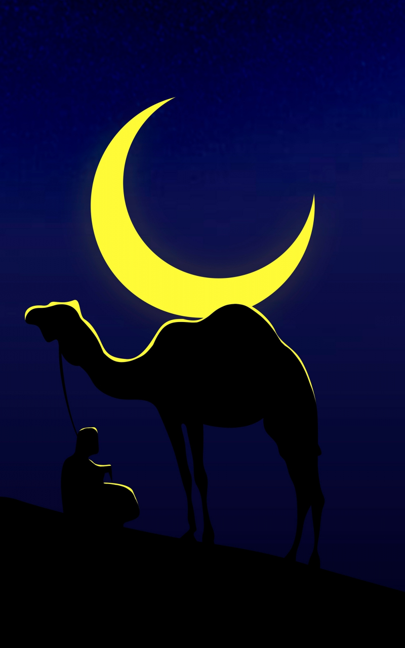 Camel and his master, moon, minimal, 800x1280 wallpaper