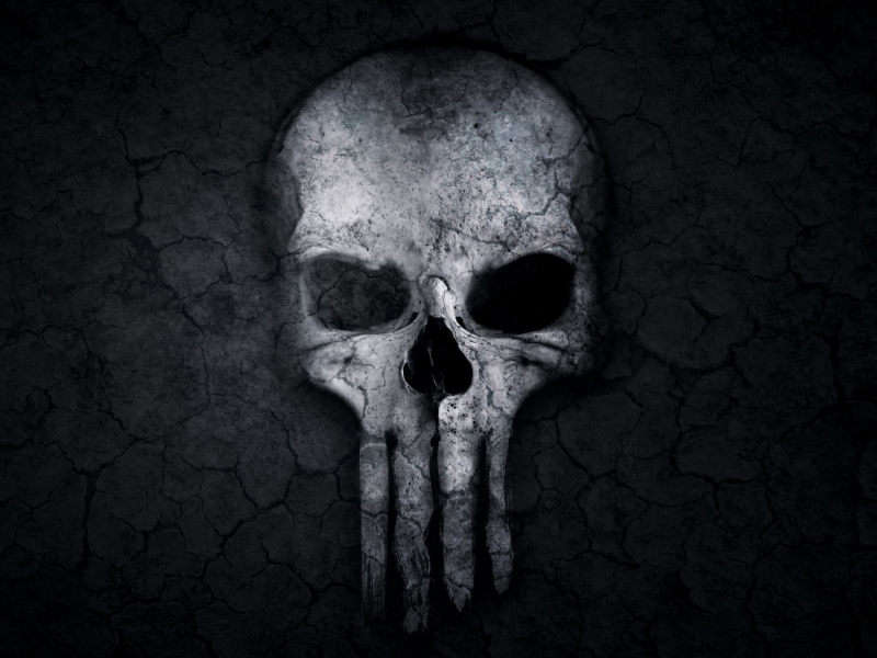 download 800x600 wallpaper dark skull logo punisher pocket pc pda 800x600 hd image background 3511 wallpapersmug