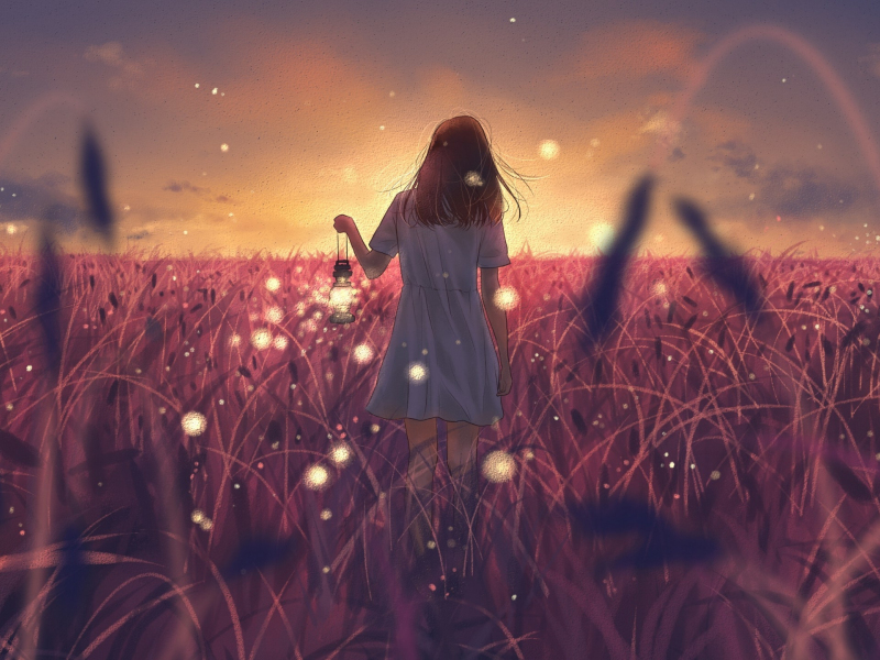 Download Girl With Lantern Grass Landscape Outdoor 800x600 Wallpaper Pocket Pc Pda 800x600 Hd Image Background