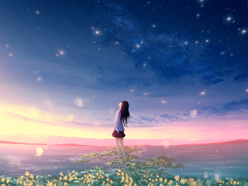 Download wallpaper 800x600 original, sunset, landscape, anime girl ...