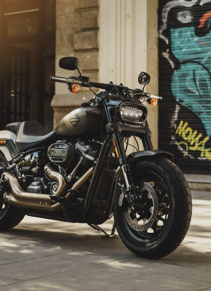 2019 Harley-Davidson, motorcycle, 840x1160 wallpaper