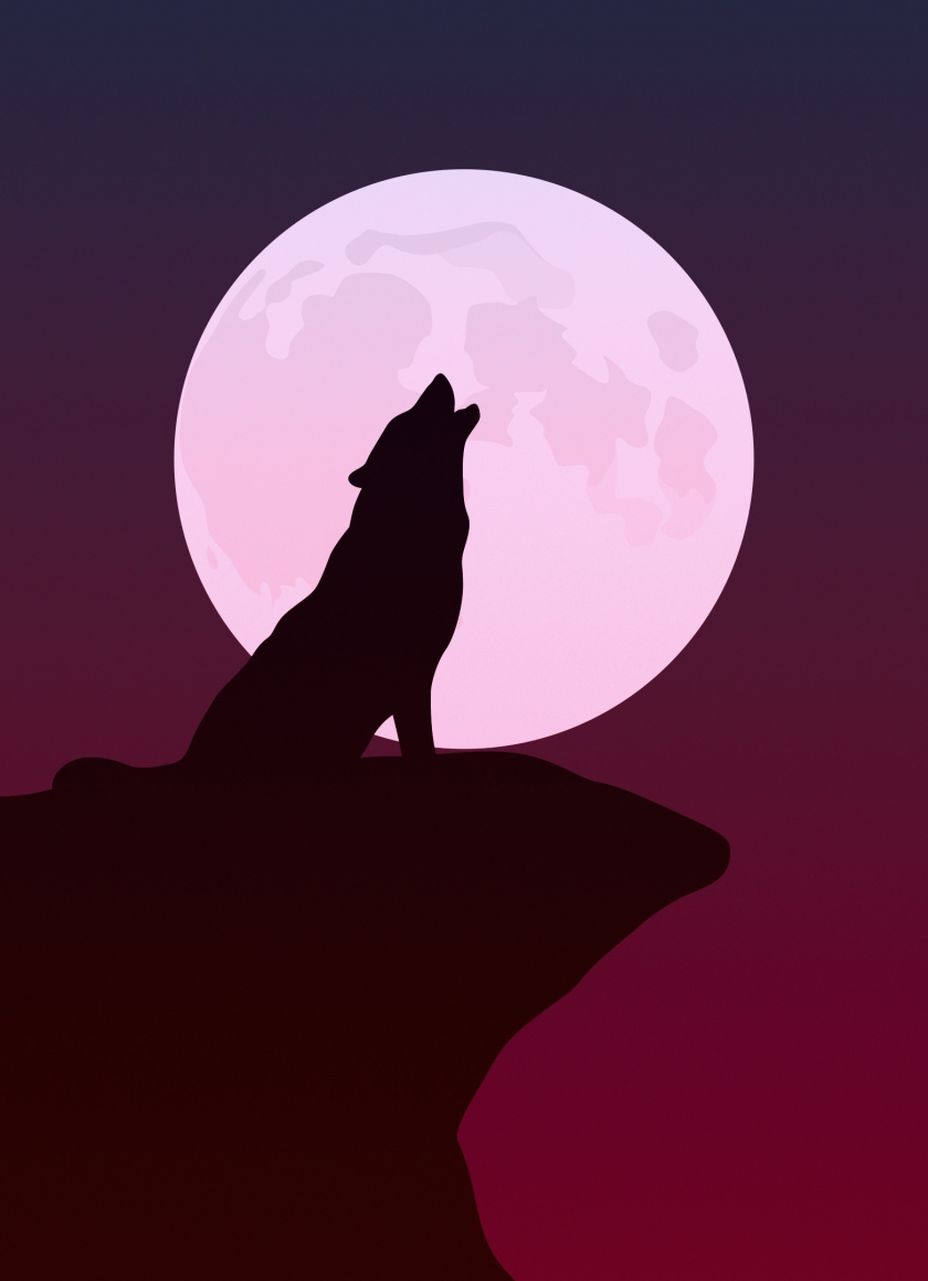 Featured image of post Iphone Wolf And Moon Wallpaper Find the best wolf and moon wallpaper on getwallpapers