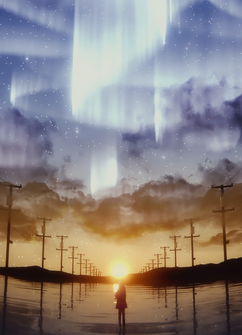 Download wallpaper 840x1160 anime girl, night, northern lights, artwork ...