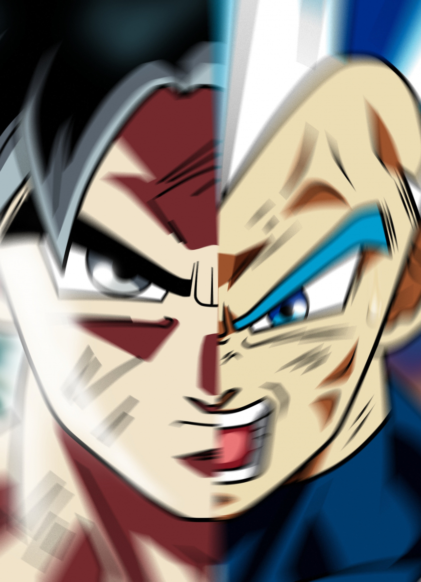 Download 840x1160 Wallpaper Face Off Goku And Vegeta Dragon Ball