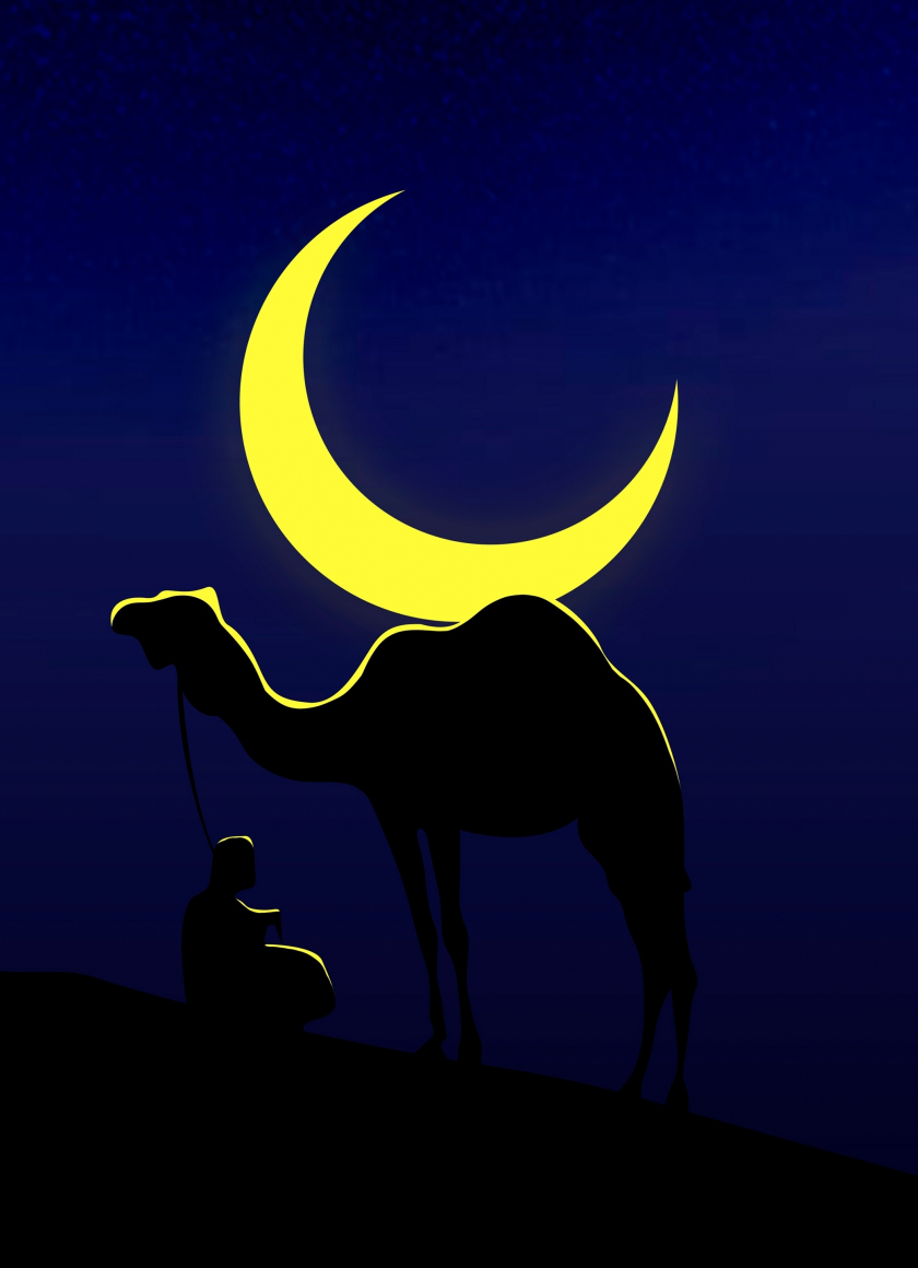 Camel and his master, moon, minimal, 840x1160 wallpaper