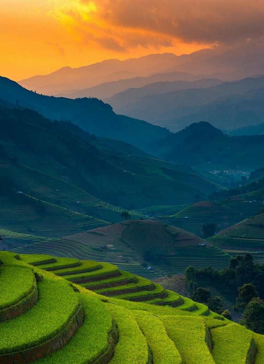 Rice farms, landscape, horizon, mountains, Philippines, 840x1160 wallpaper