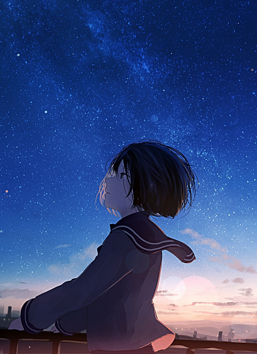Download wallpaper 840x1160 starry night, anime girl, original, iphone 4, iphone  4s, ipod touch, 840x1160 hd background, 9503
