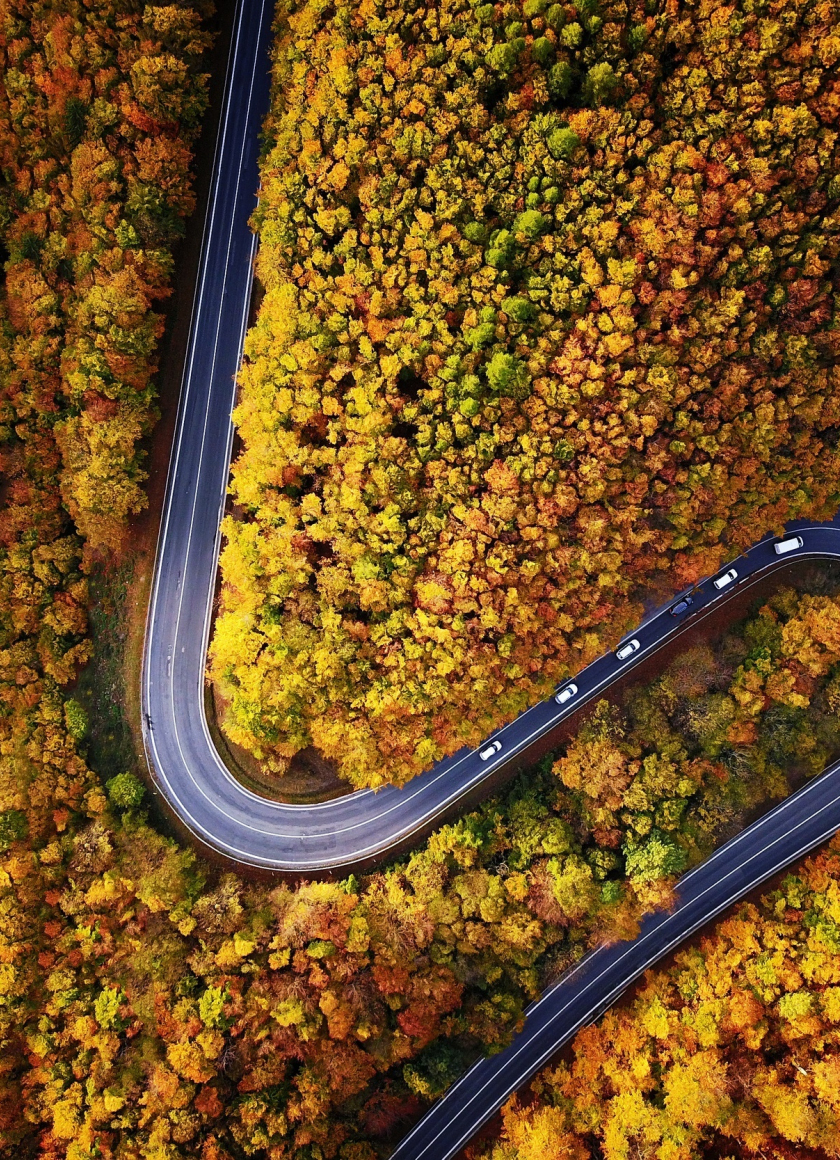 Download Wallpaper X Highway Turn Forest Autumn Aerial View