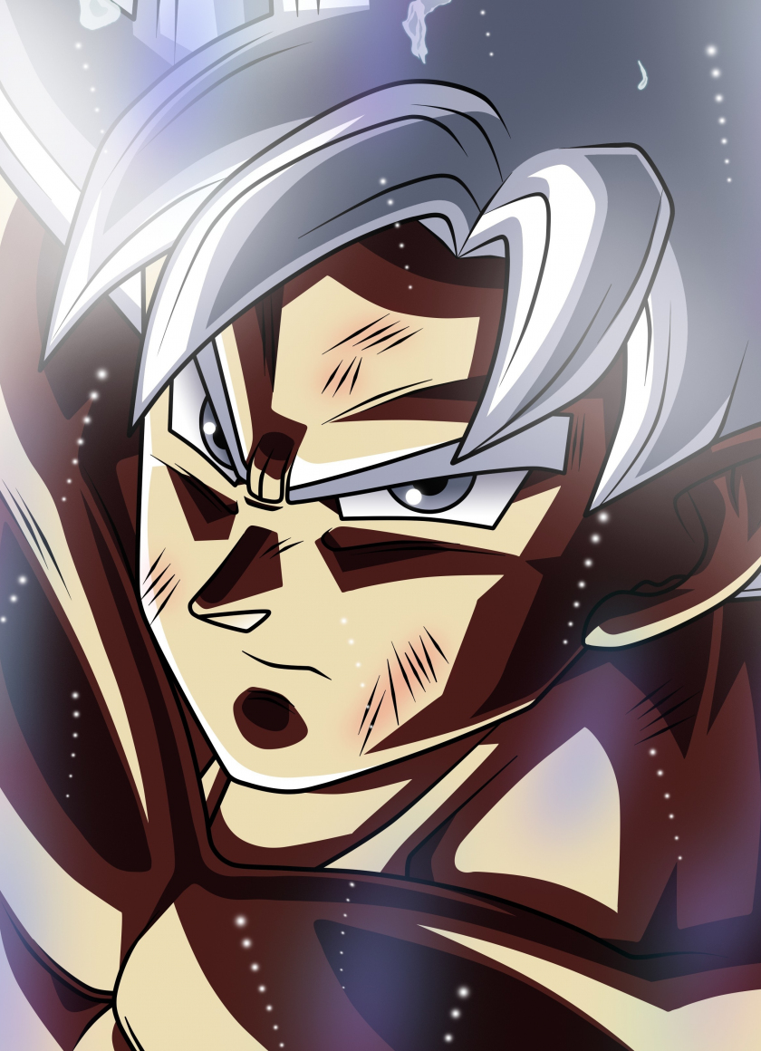 Download wallpaper 840x1160 goku, ready for punch, anime, iphone 4 ...