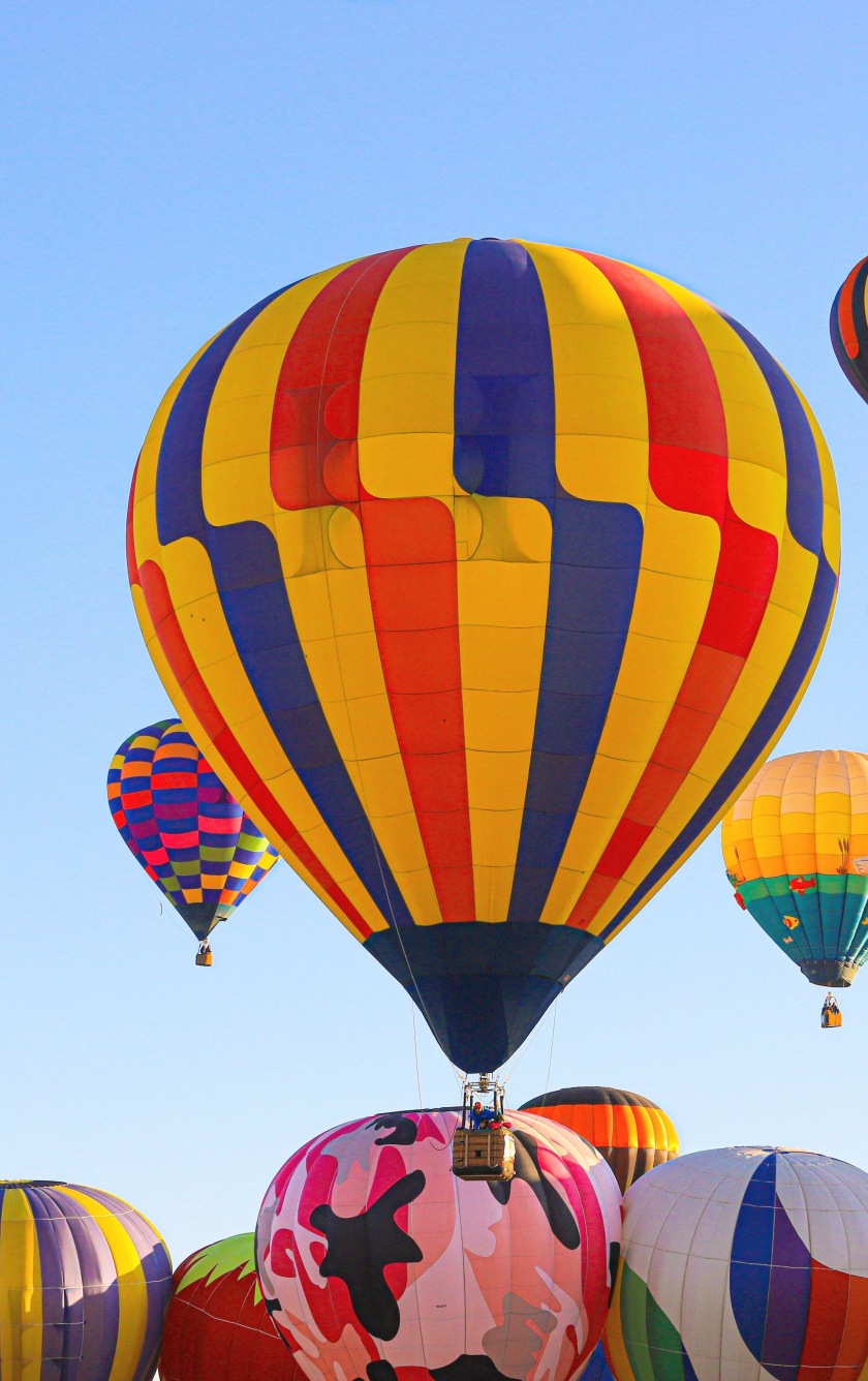 Download wallpaper 840x1336 hot air balloons, colorful, festival ...