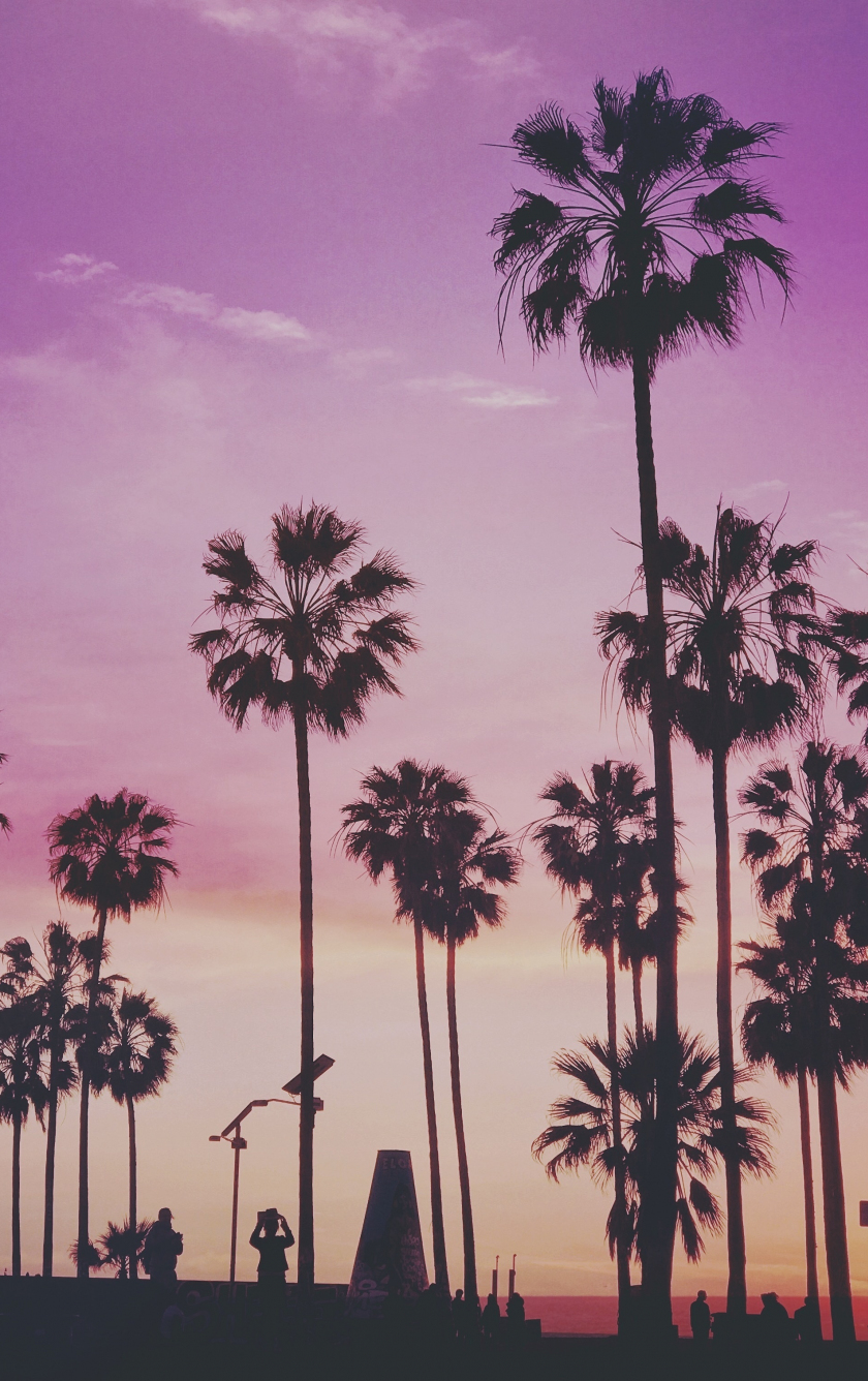 Download wallpaper 840x1336 tropical, palm trees, miami sunset, iphone ...