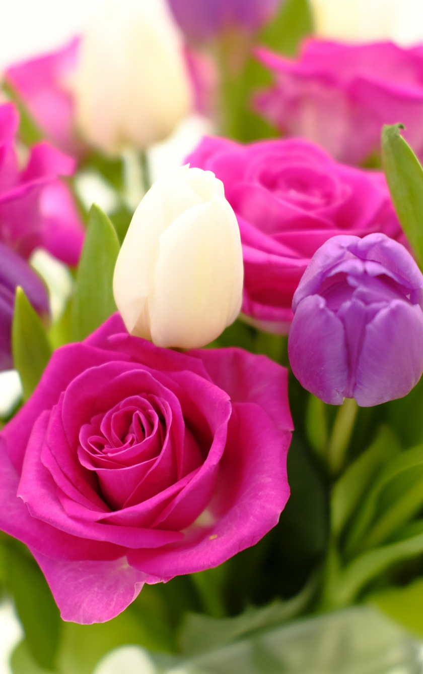 Download wallpaper 840x1336 bouquet, roses and tulips, flowers, iphone