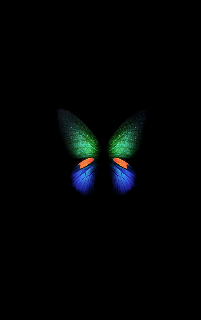 Mời bạn Tải Hình nền Hoa  bướm của Galaxy Z Fold3  Z Flip3