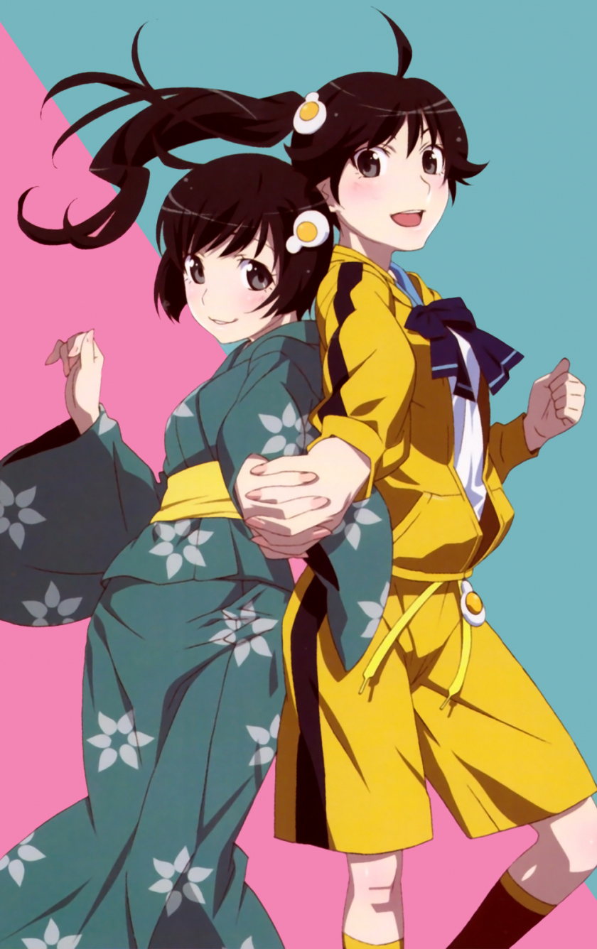 Download Wallpaper 840x1336 Anime Girls Karen Araragi Tsukihi Araragi Bakemonogatari Iphone