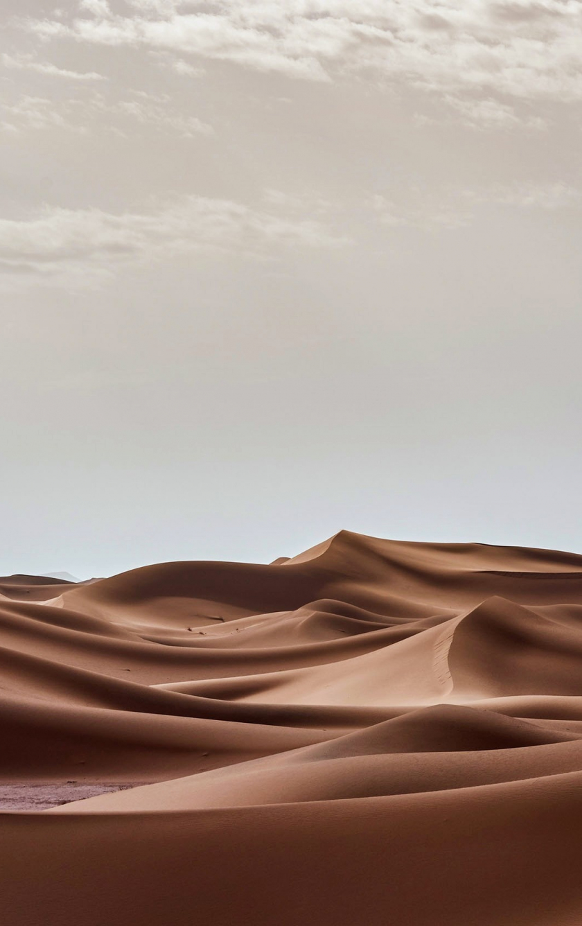 Landscape, desert dunes, nature, 840x1336 wallpaper