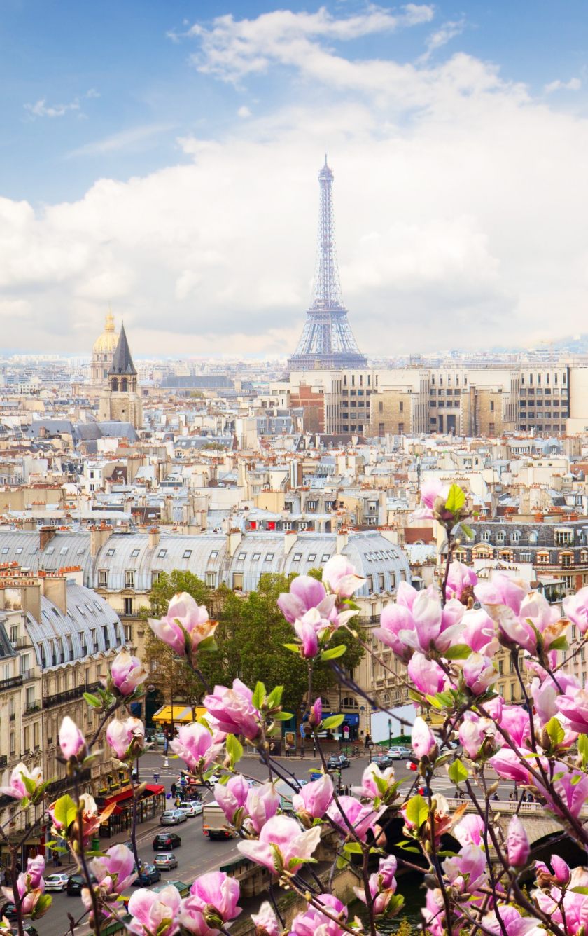 Download wallpaper 840x1336 eiffel tower, paris, france, flowers