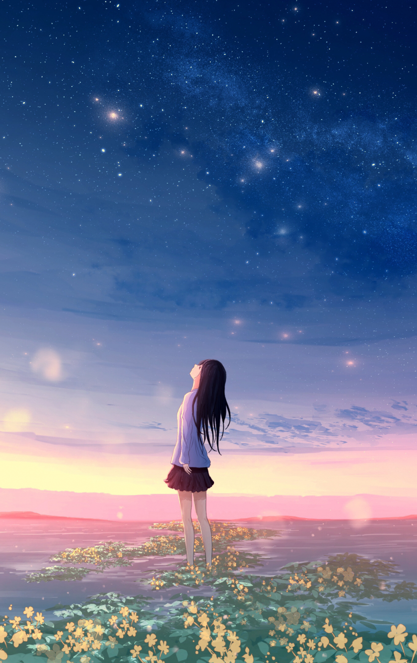 Download wallpaper 840x1336 original, sunset, landscape, anime girl, iphone  5, iphone 5s, iphone 5c, ipod touch, 840x1336 hd background, 26323