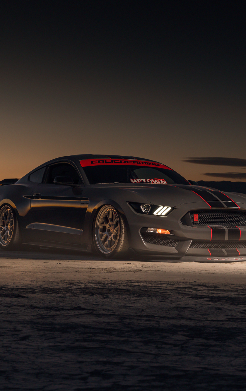 Ford Mustang Shelby GT350, HD Cars, 4k Wallpapers, Images, Backgrounds,  Photos and Pictures