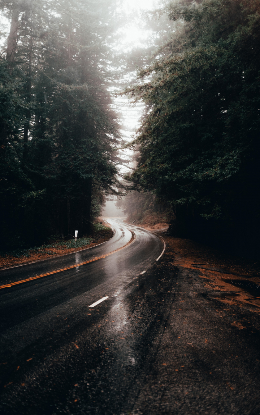 Highway turn, road, rainy, water on road, 840x1336 wallpaper